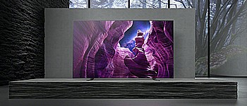 55A89 OLED