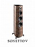 Sonetto V