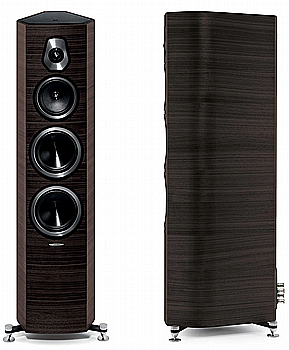 Sonetto V 