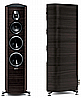 Sonetto V