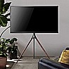 FS12 46F תלת רגל רצפתי למסכי טלויזיה