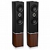 PLATINUM F6 TANNOY