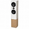 PLATINUM F6 TANNOY