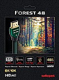 HDMI 2.1 FOREST48 2M HDMI 2.1 FOREST48 2M