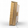 Beosound Level - Gold Tone & Light Oak
