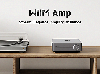 WIIM AMP