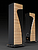 AVYRA 633 MOREL