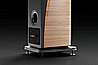 AVYRA 633 MOREL