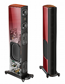 T66 GOLDEN EAR