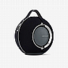 Devialet Mania