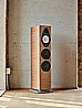 SONETTO V G2