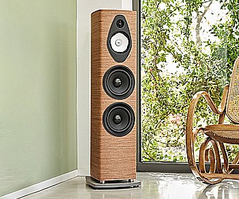 SONETTO VIII G2