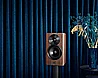 FOCUS 10 DYNAUDIO