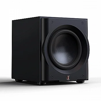 R10S SUBWOOFER 