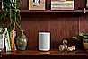 ERA 100 SONOS