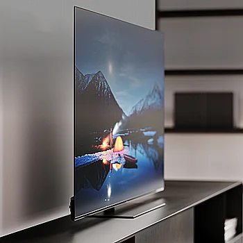 WE.SEE 65 OLED 