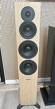 EVOKE 50 ����� �� ���� ������