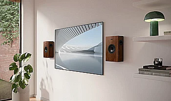 Q4 META ONWALL