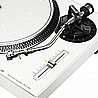 PLX 500 PIONEER