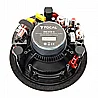 ICW6 100 FOCAL