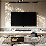 Loewe bild i.77 ������ ������ ���� ���