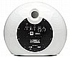 Psw150E morel