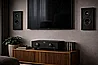 dali-sonik-on-wall-black-ash.jpg