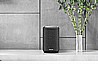 DENON HOME 150