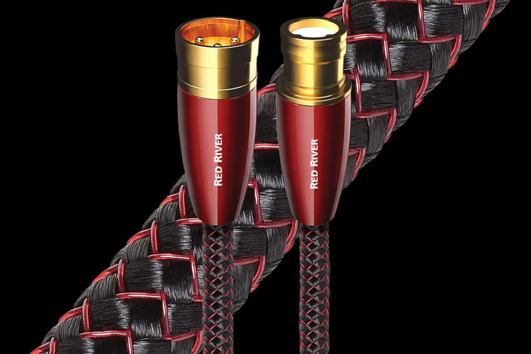 XLR